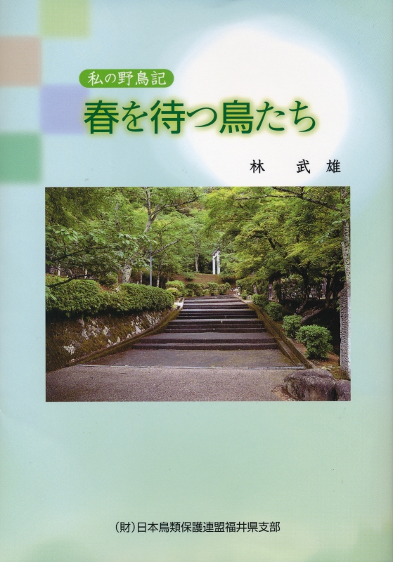 書籍『帰らぬつばさ、春を待つ鳥たち、70年の回想』 | 全国愛鳥教育研究会