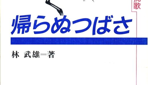 書籍『帰らぬつばさ、春を待つ鳥たち、70年の回想』