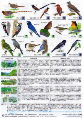 鳥から知る 環境ものさし〈裏面16種〉