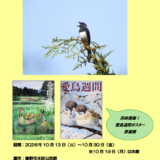 2026年10月13日～10月30日 秦野市本町公民館にて野鳥写真展「ヤビツ峠周辺の野鳥たち」と「愛鳥週間ポスター原画展」を同時開催